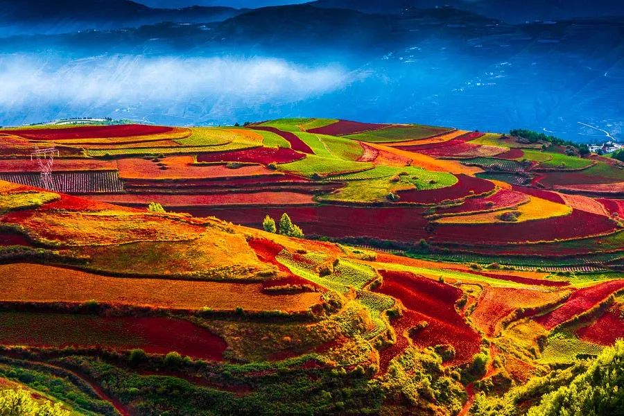 一抹中国红惊艳世界