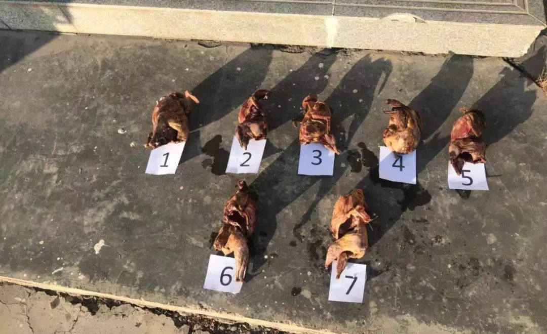 当前情况下,在农村,以下几种行为已被"喊停",村干部带头严查