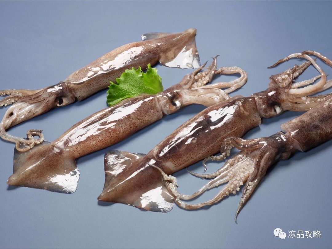 7年阿根廷鱿鱼在中国市场继续延续成功