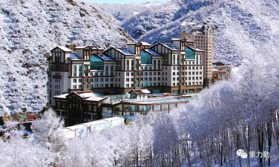 罗力2万字访谈万龙迎难规划自救疫魔难挡播种幸福