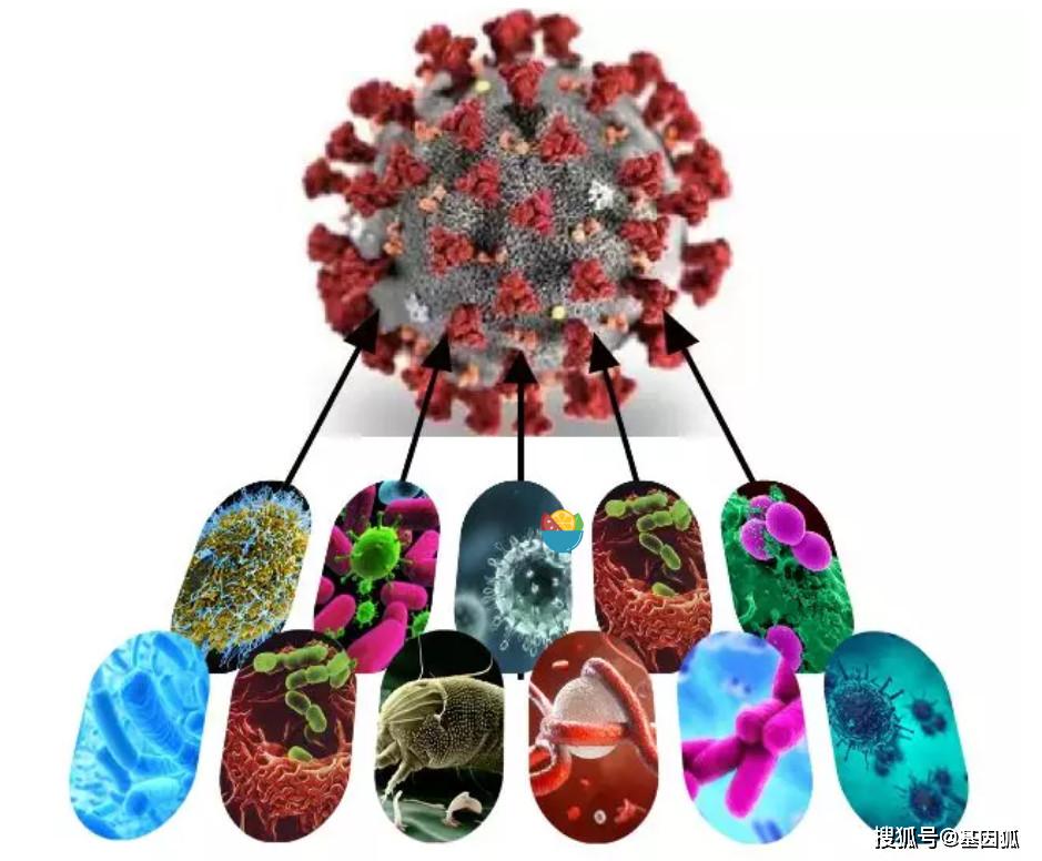 政策利好 | 病原微生物宏基因组测序纳入医保报销,助力新冠病毒检测!