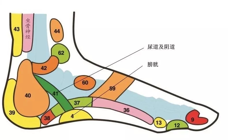 中医反射疗法应对新冠肺炎的家庭自我预防与保健方法