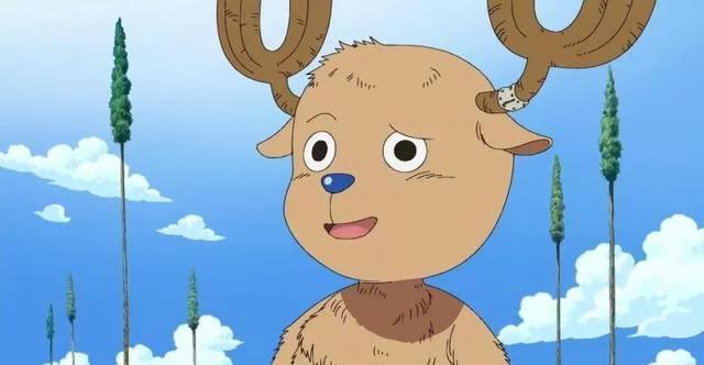 海贼王戴帽子的重要性拿掉帽子乔巴违和感最大