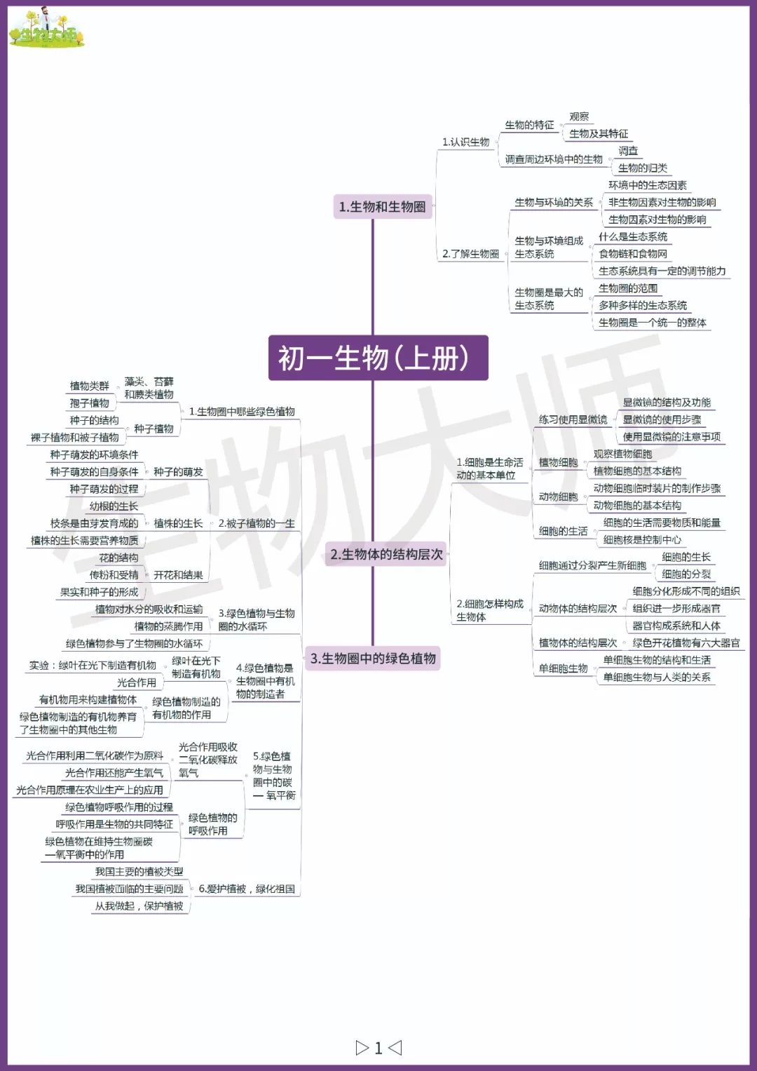 初中生物超詳細初中課本思維導圖基礎知識一網打盡可打印