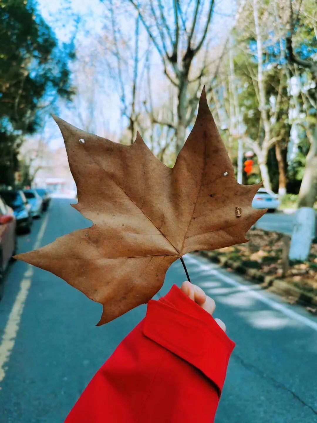 金思思武汉许下生日愿望愿所有人健康平安喜乐