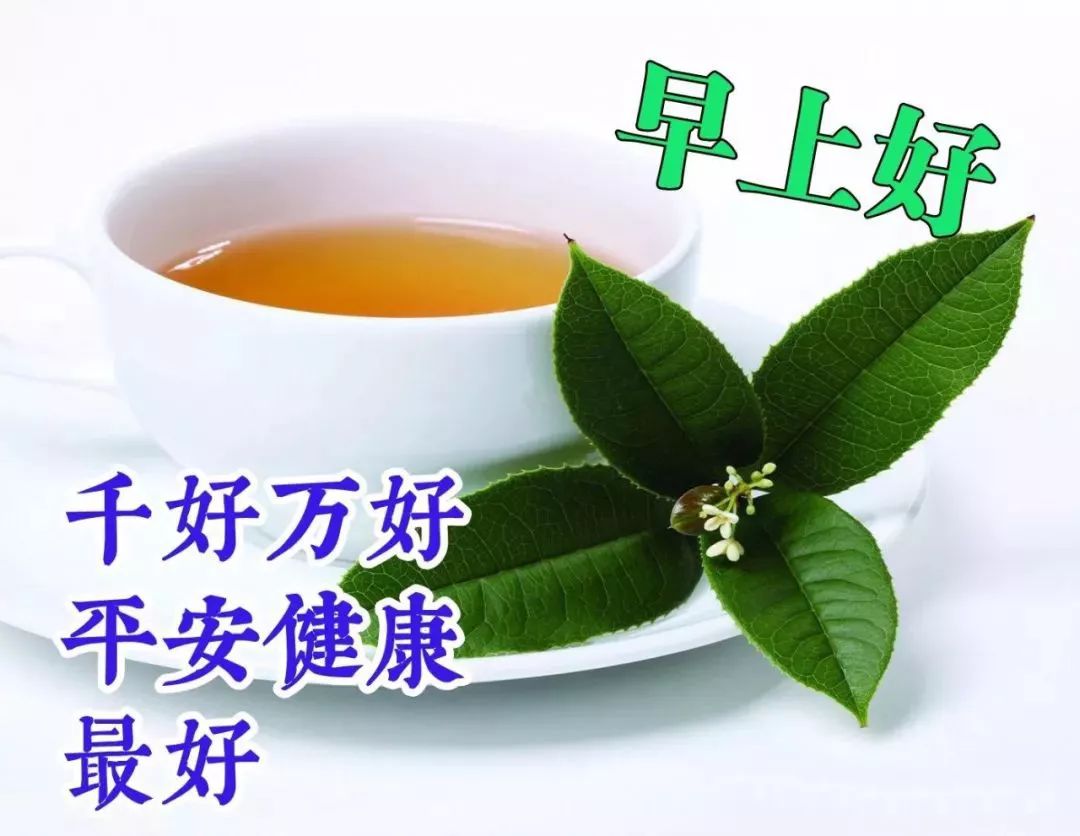 初春清晨早上好漂亮清新早安问候语图片2020早安正能量阳光问候语录送