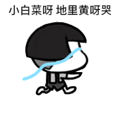 240_240gif 动态图 动图