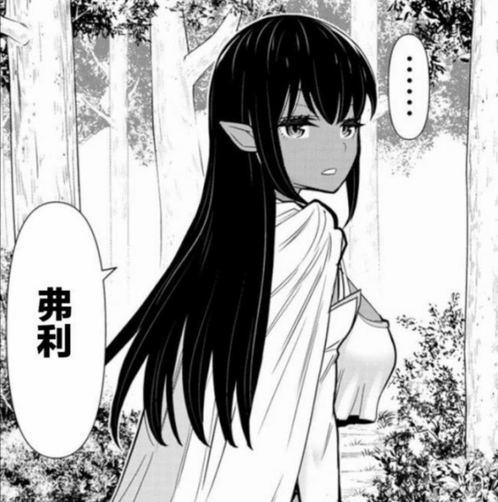 停止时间的勇者通过第一关要率领熟女精灵和萝莉盗贼挑战魔王吗