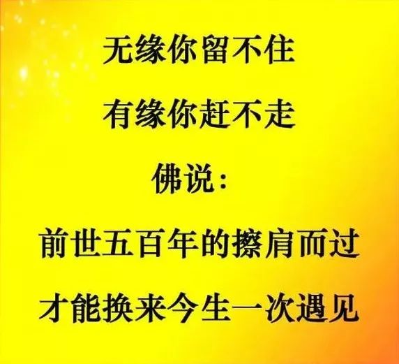 无缘留不住有缘赶不走