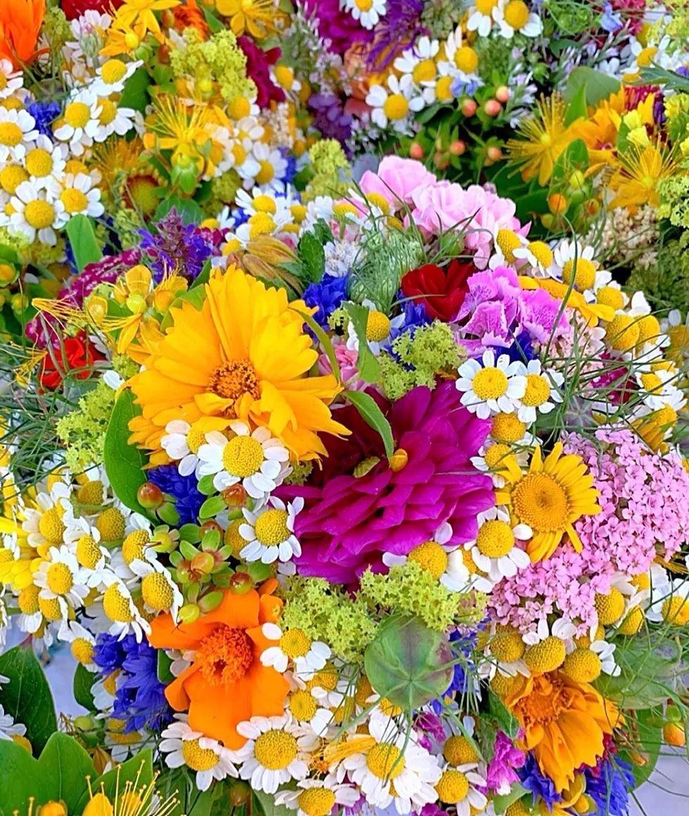 满眼春光醉入花海