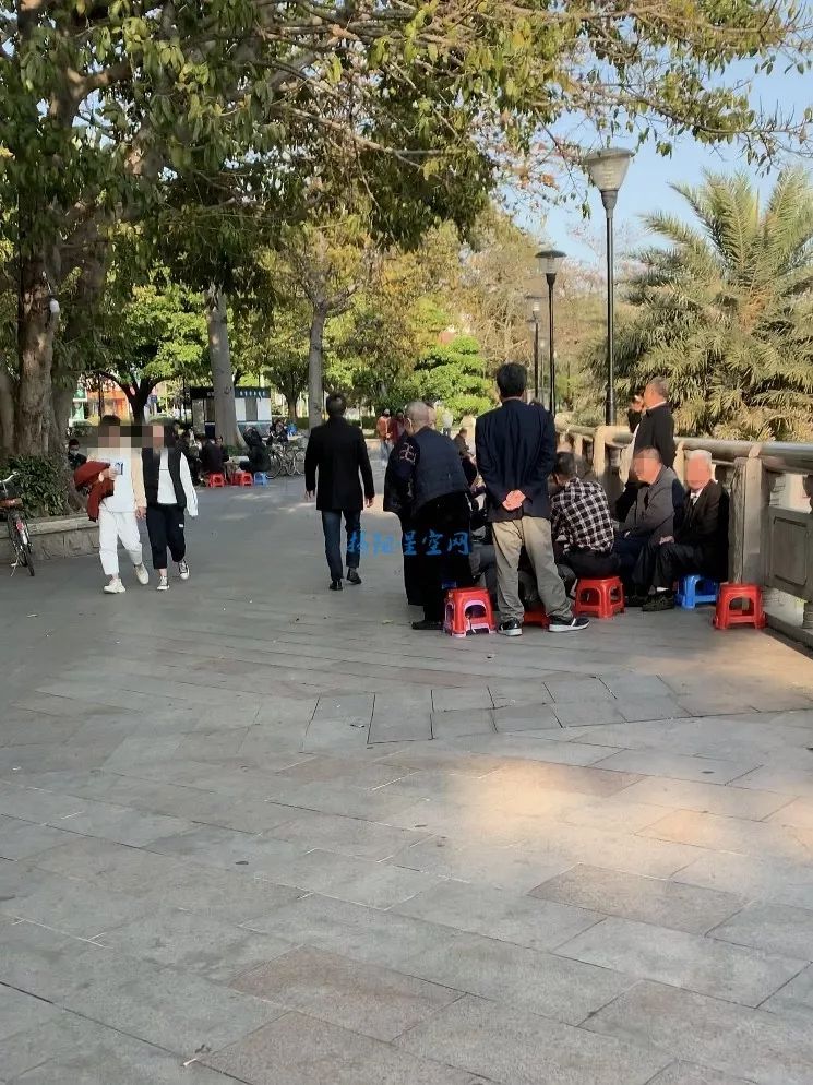 大胆!疫情当前,沿江路竟多人扎堆聚集打牌