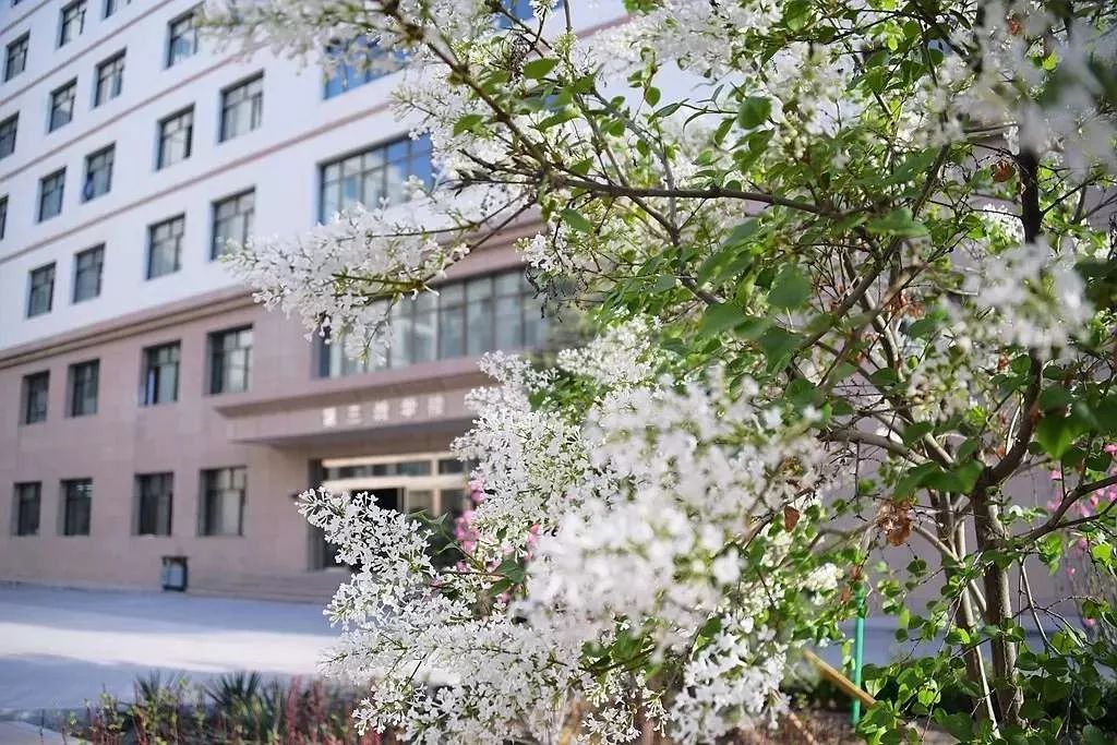 兰文理人 母校对你有话说_校园