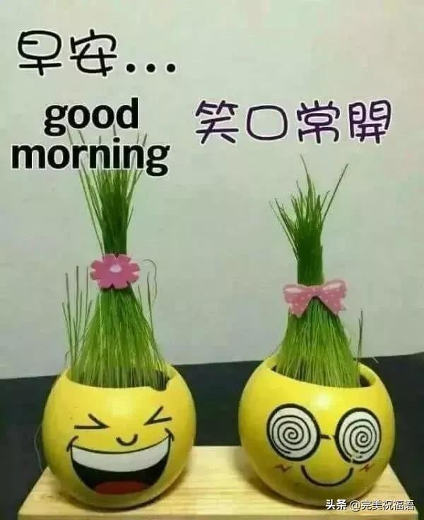 星期二早安送朋友的祝福暖心语句微信早上好问候表情图片
