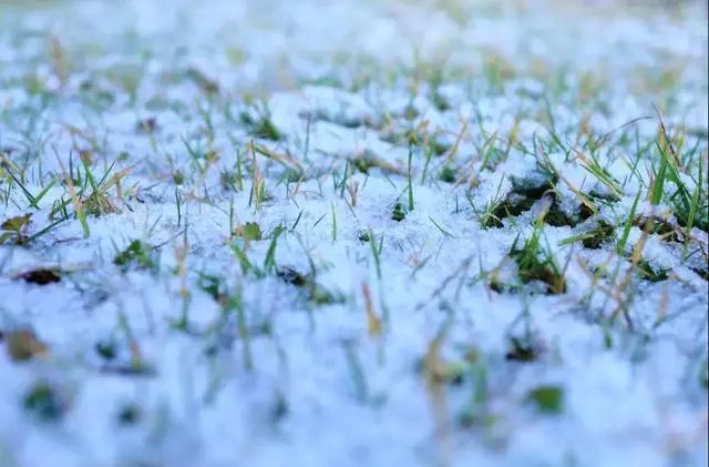 其中滇東高海拔地區有小到中雪局部大雪,滇西北西部多雲轉陣雨(雪)