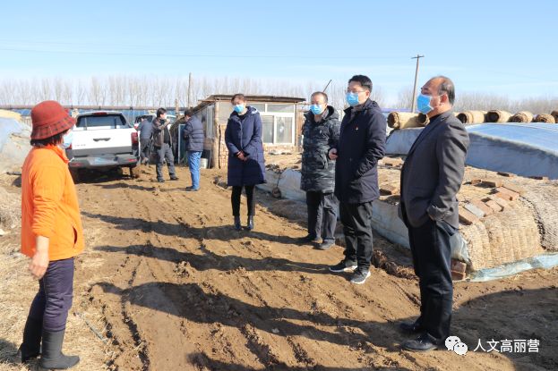 镇党委书记王海松查看河津营村