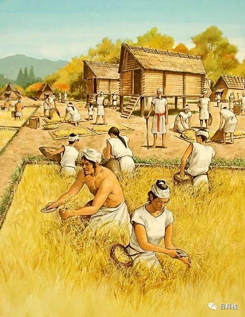 听说日本人爱吃白米饭,不爱喝白粥?