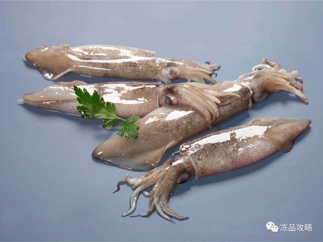 7年阿根廷鱿鱼在中国市场继续延续成功