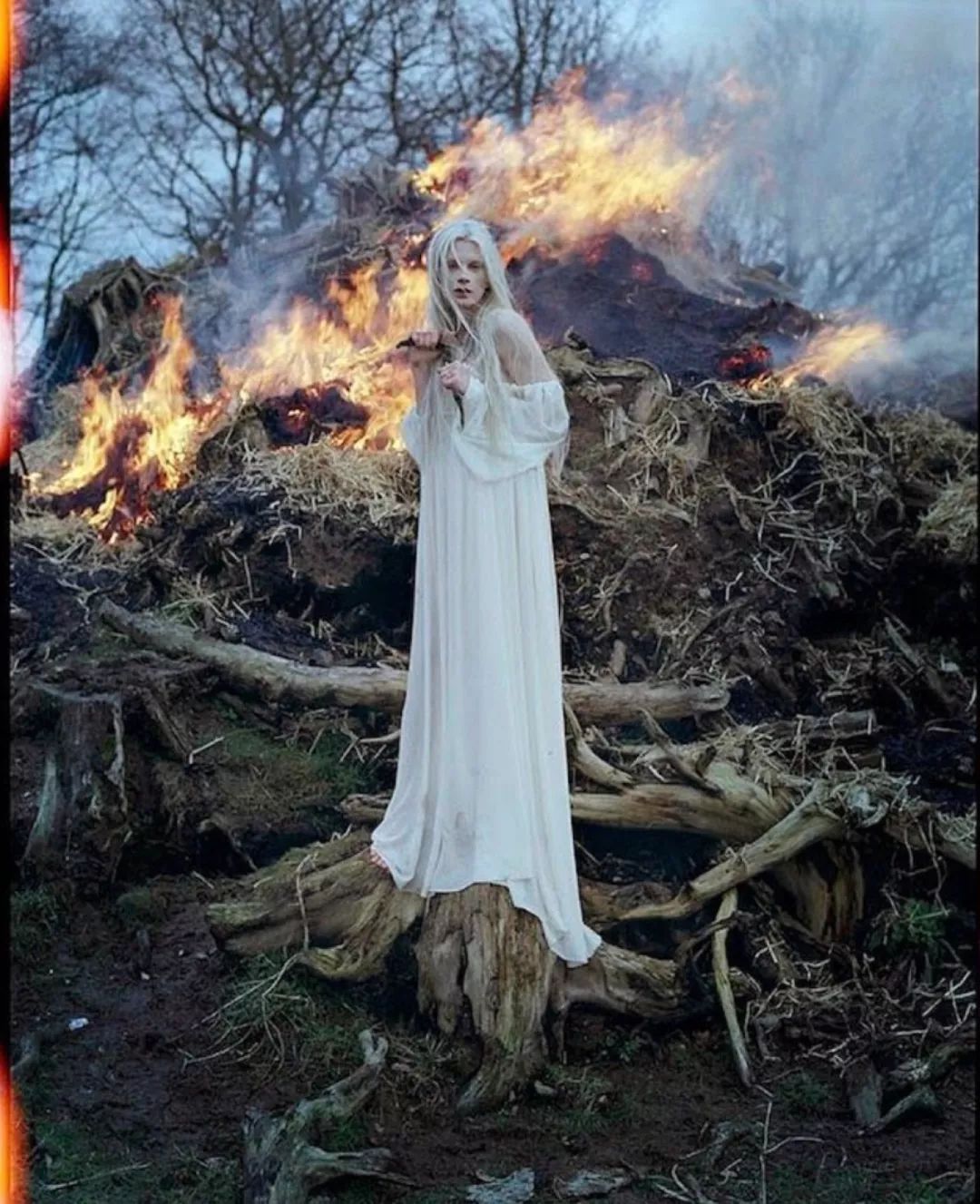 时尚灵感时尚圈鬼才摄影师timwalker用梦幻美学实力演绎童话世界不是