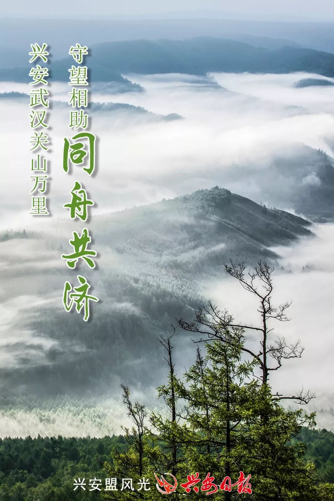 冬将尽,春可期_王永生