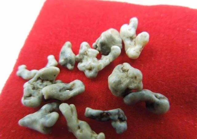 舍利子为何只有高僧火化才有, 真要功德圆满吗? 其实有科学依据