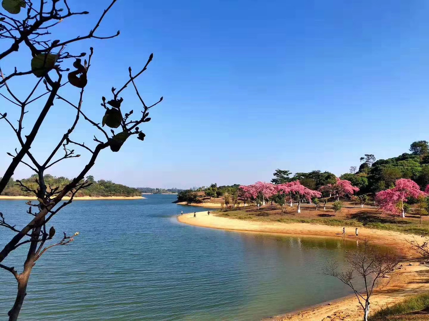 深圳企业包团东莞松山湖骑行梦幻百花洲赏花一天游方案