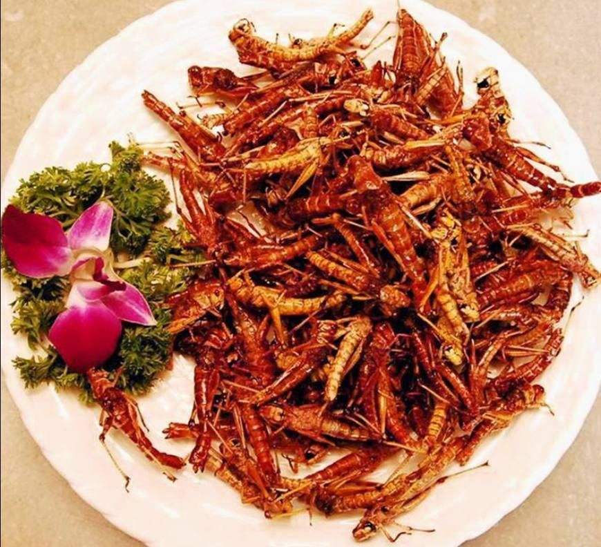 今天小编还给你搜出了一些网友油炸蚂蚱的详细吃法,我们一起来看看