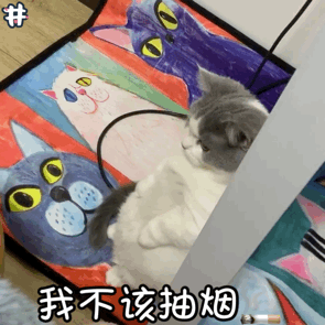 猫咪站墙角认错表情包|老婆我错了,我不该_侵权