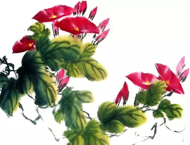 国画教程彩墨牵牛花画法步骤