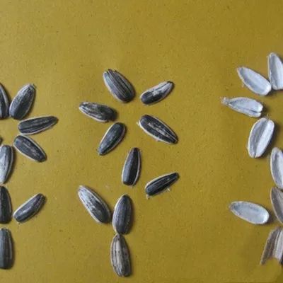 瓜子派上大用场,在家也能赢大奖丨三胖蛋瓜子创意大赛震撼来袭!