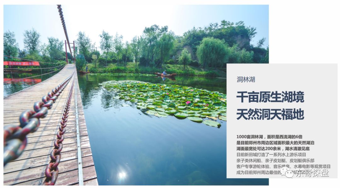 洞林湖或是個不錯的選擇,1000畝洞林湖,約1600畝溼地公園,農夫樂園等