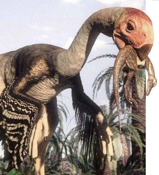 二连巨盗龙的发现过程颇富戏剧性.