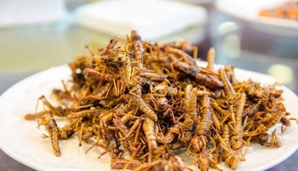 4000亿只东非蝗虫已进入亚洲正逼近我国会有威胁吗