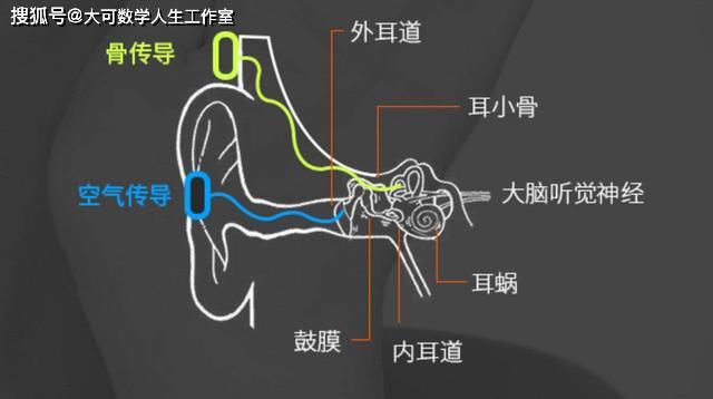 自己的声音,为什么我们听到的和别人听到的不同?_传播