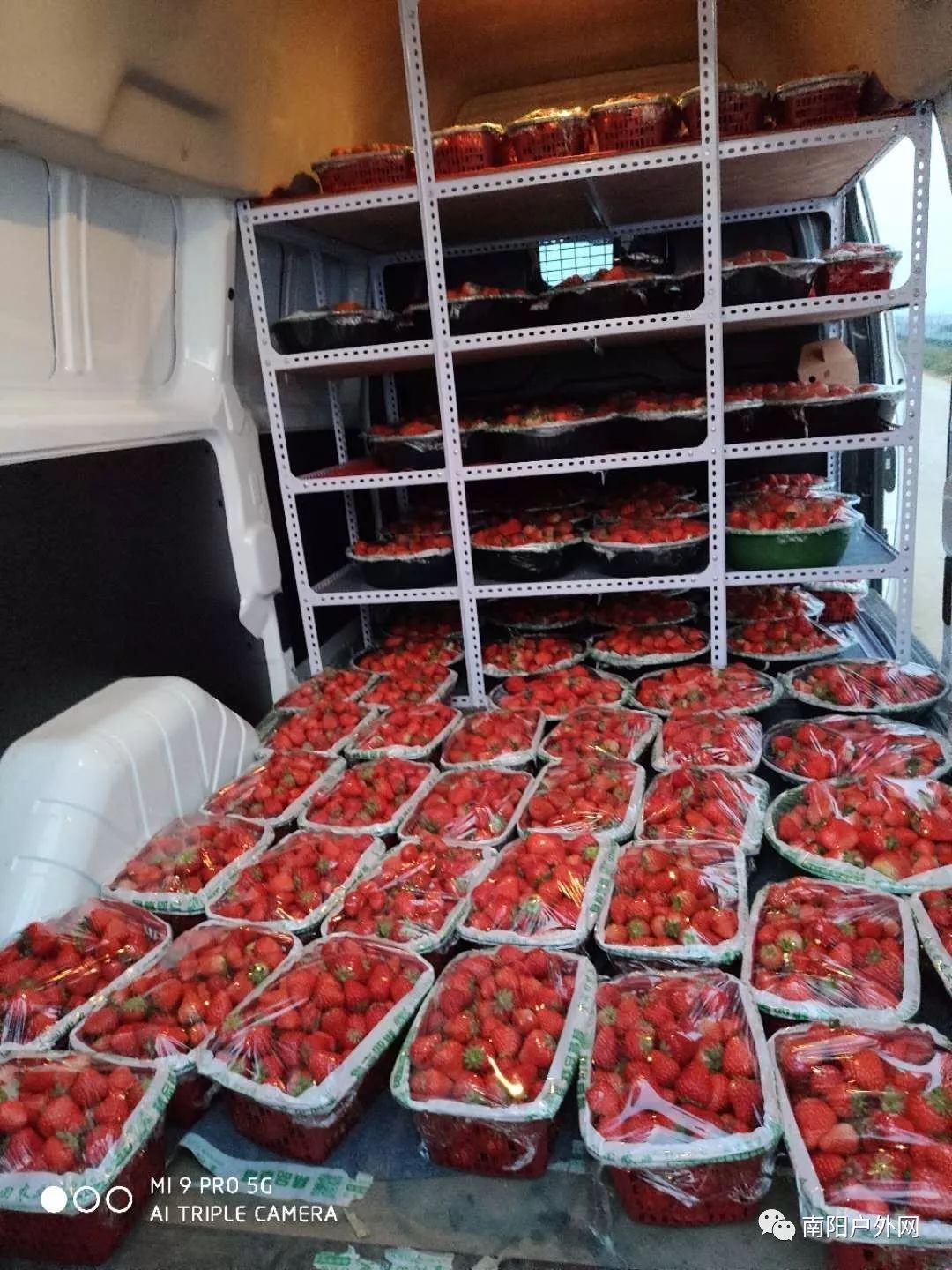 【19日更新】新增眼视光,护目镜,电脑,打印机,手机维修,草莓,蒸馍,米