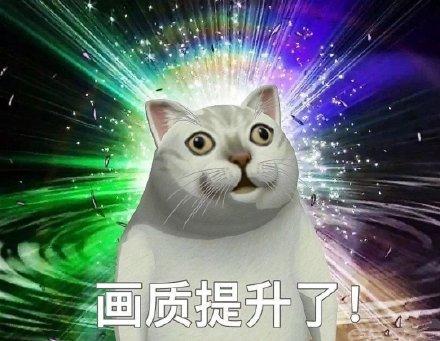 憨憨猫关于上网课的表情包合集|我掉线了