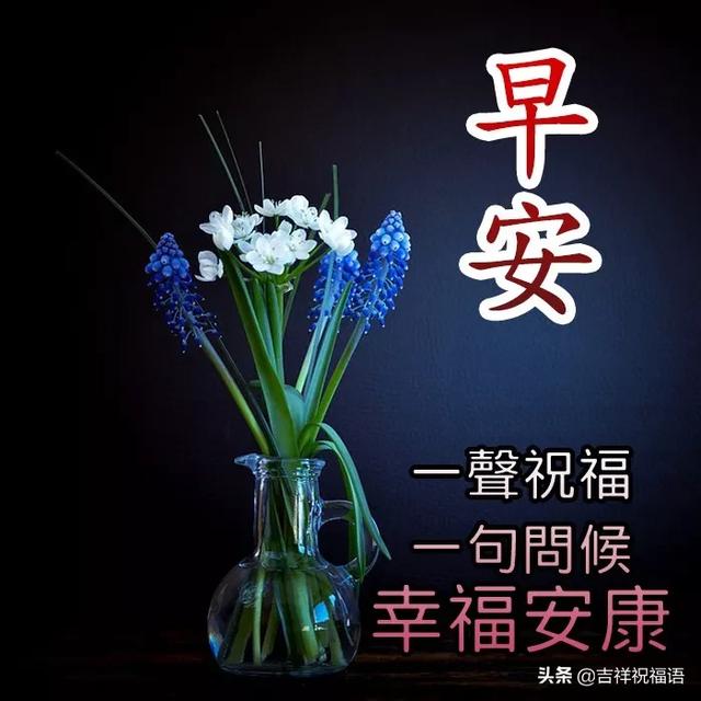 2月19日最漂亮早上好图片带字最美早安问候语动态图片