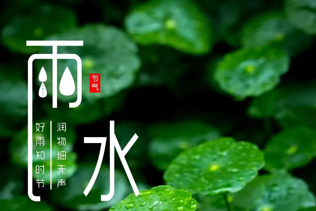 我国古代将雨水分为三候:"一候獭祭鱼;二候鸿雁来;三候草木萌动.