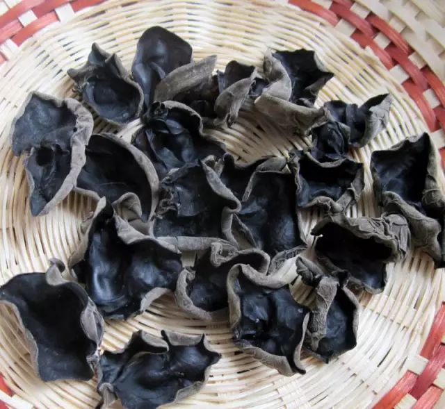 地耳的正面多为红褐色,背面泛黄;而  黑木耳的  正面是  黑色的, 背面