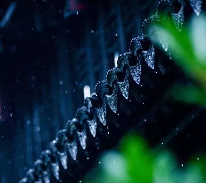 春雨會滋潤著即將迎來的解放,帶著暖意,讓細雨為你們增添酣暢淋漓的