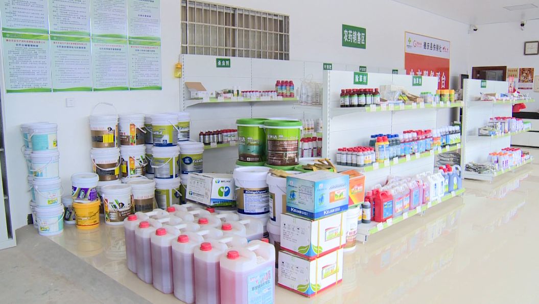 疫情不挡春耕路德庆农户陆续采购农资产品