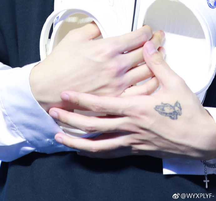 手控速来报道 品一品范丞丞肤如凝脂的一双美手