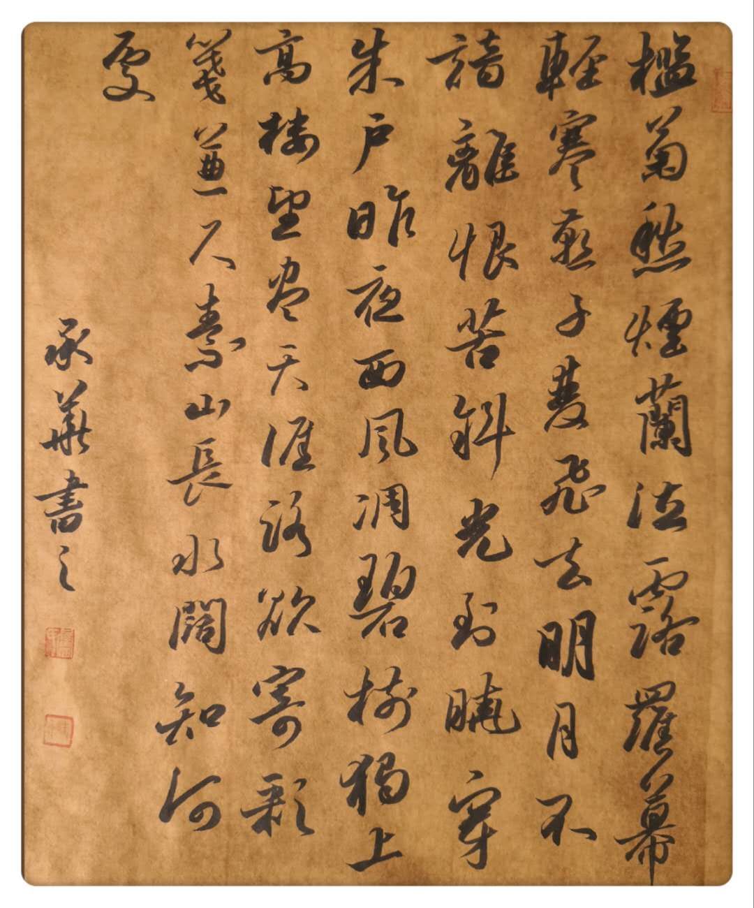 80后书法家卢承华挥毫泼墨书写浓彩人生