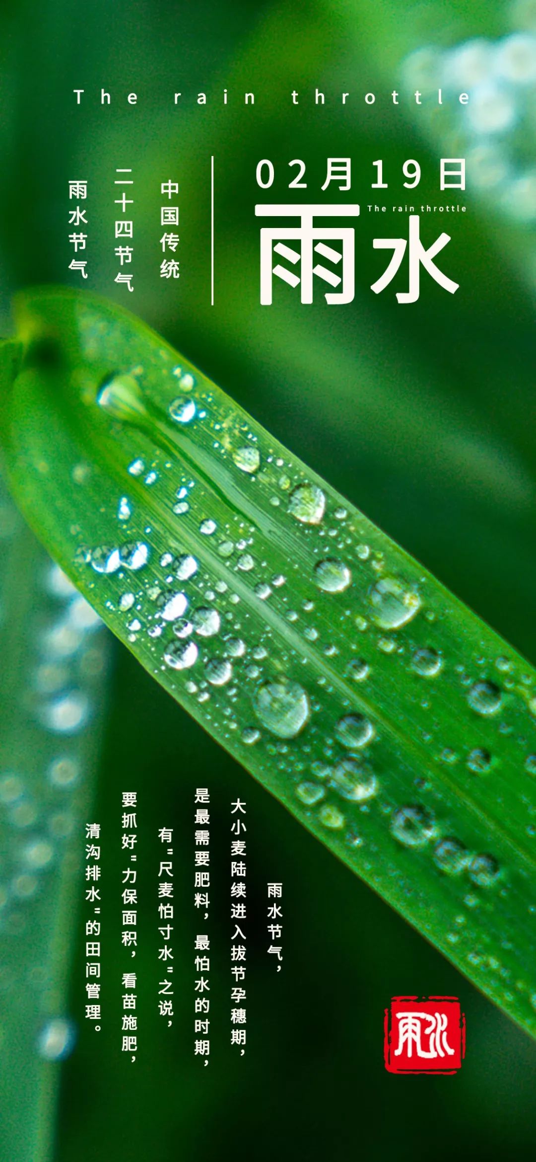 雨水渴求一场春雨荡涤人间污浊