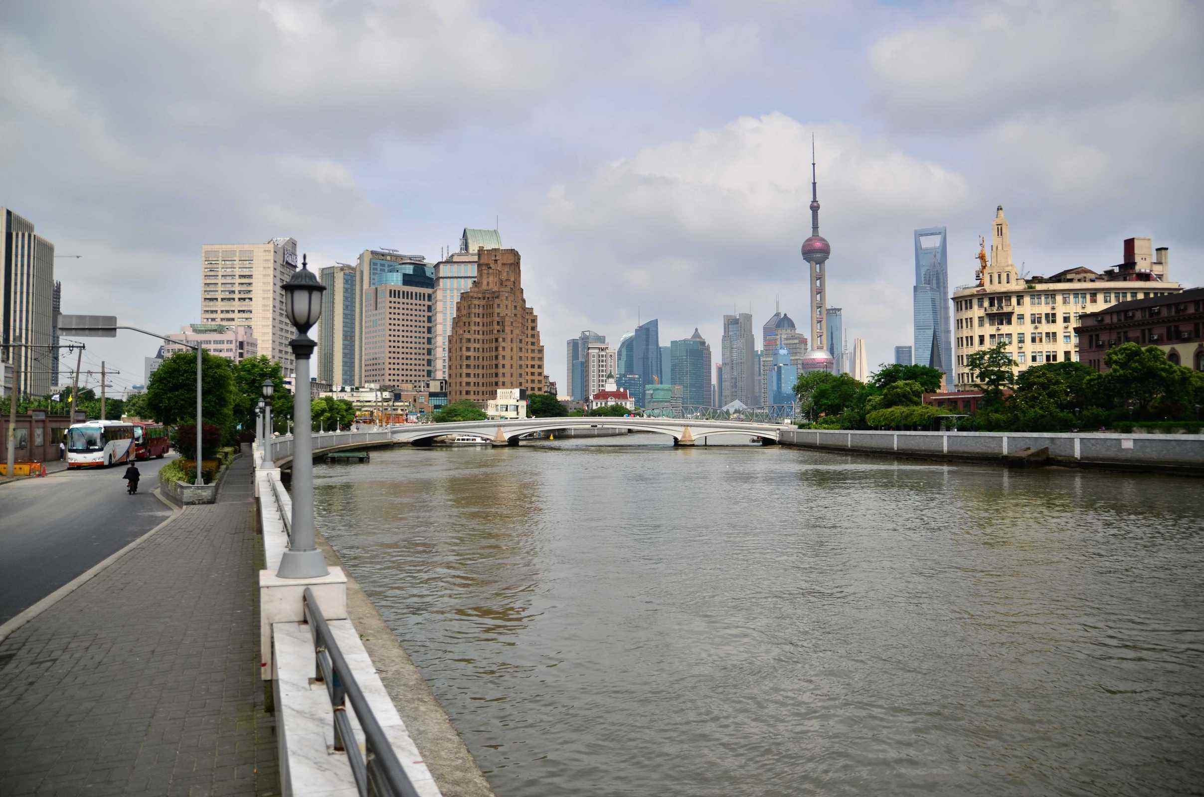 清晨,竟然在长宁苏州河畔看到.