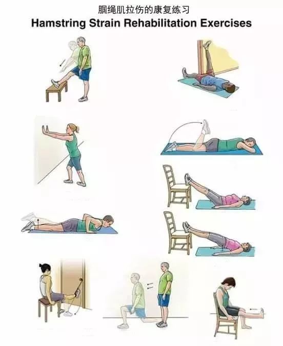 10套颈,肩,背,腰,腿的疼痛康复练习序列