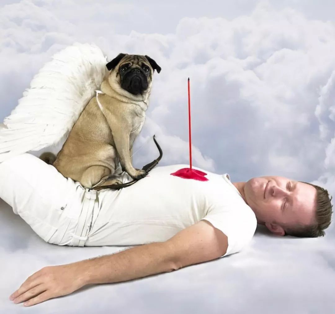 主人手术我的给办小护士擦汗哈哈哈哈哈,和这贱兮兮的