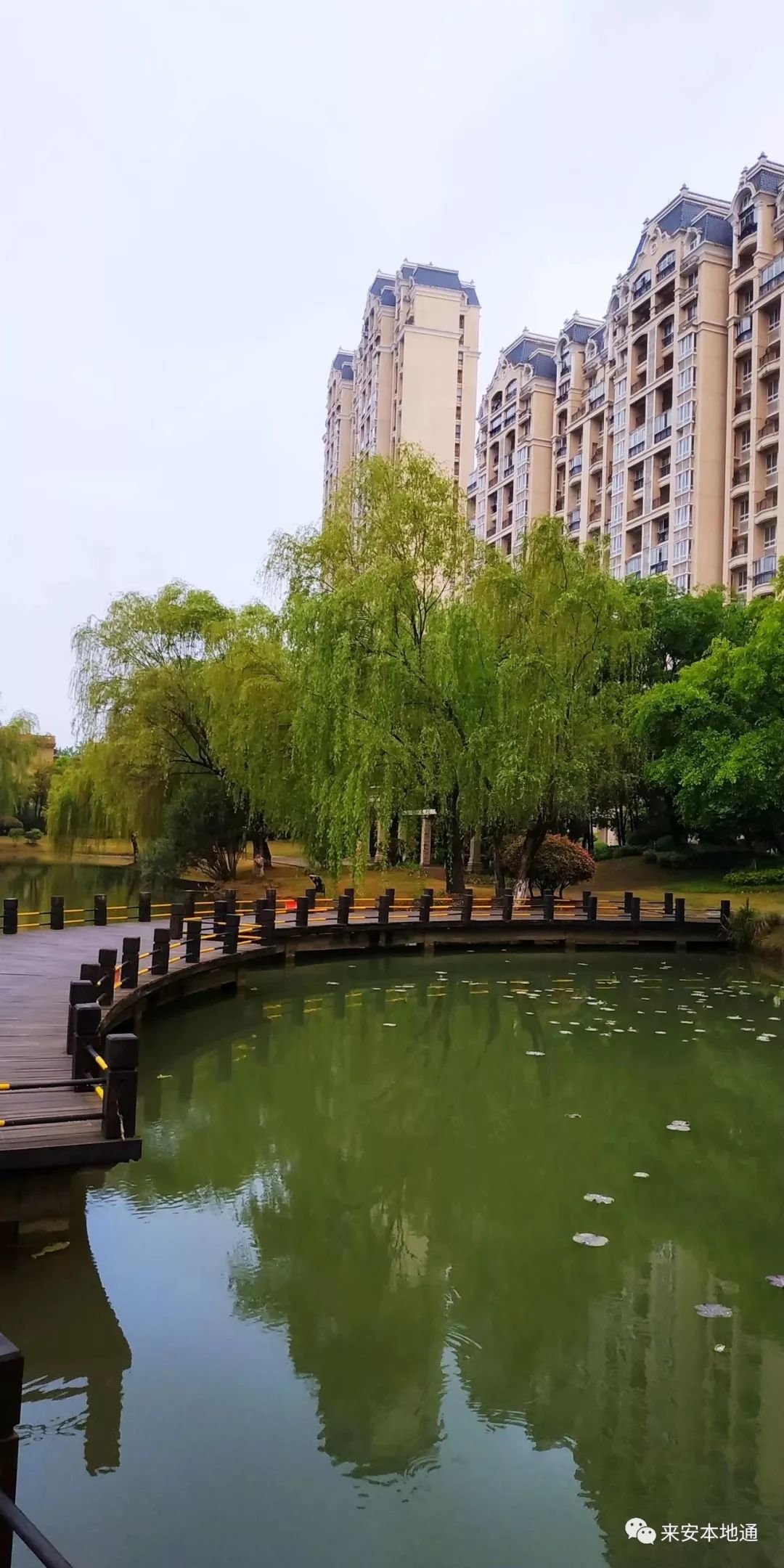 原创随手拍丨你未曾发现的汊河镇碧桂园城市花园之美