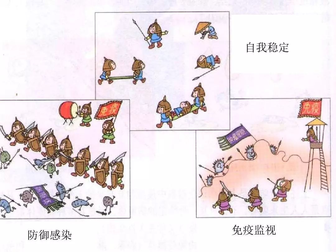 理性思考浅谈新冠肺炎疫情背后的免疫逻辑