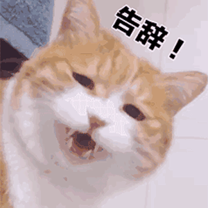 300_300gif 动态图 动图