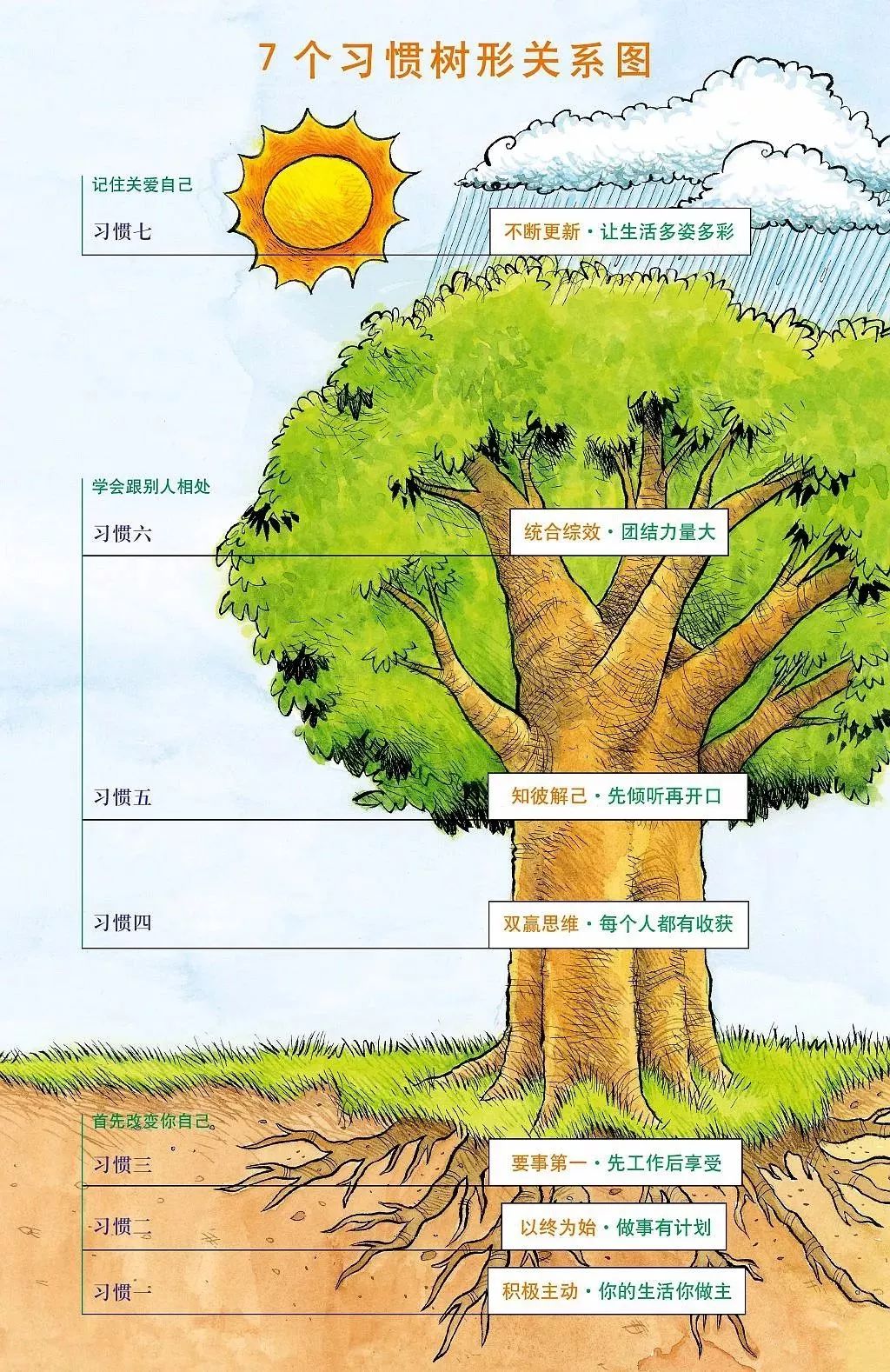 了解一下sean covey为孩子们制作的 the habits tree(7个习惯树)